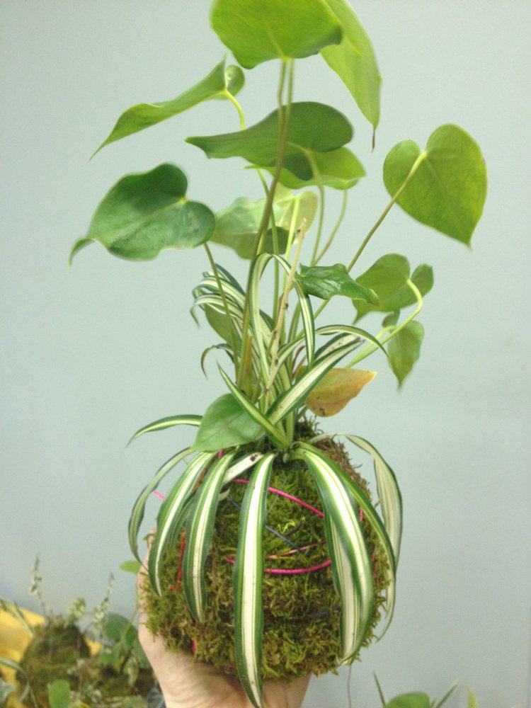 japansk-dekoration-arrangemang-växter-kokedamas-gör-det-själv-inspiration