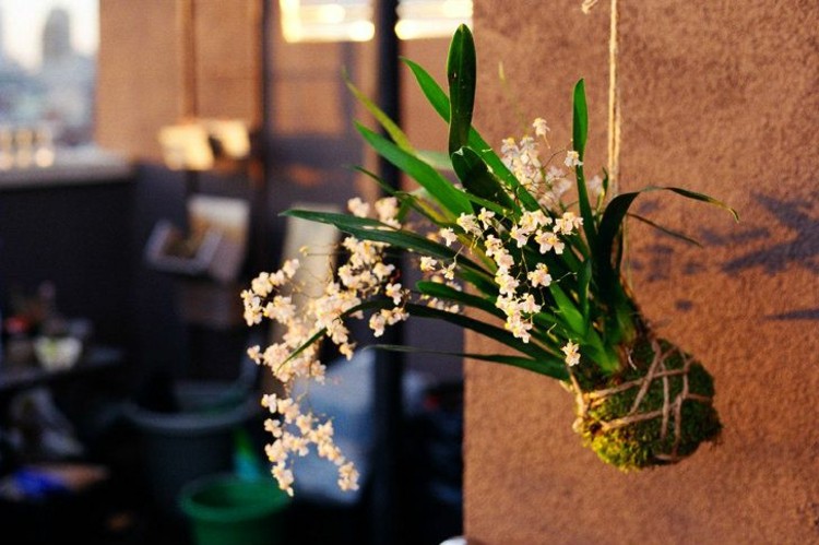 japansk-dekoration-blommor-vägg-dekoration-inspiration-vita-blommor
