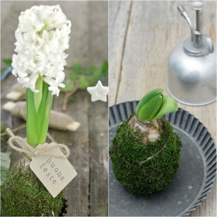 japansk-dekor-vår-blommor-hyacint-trädgård blomma-idéer