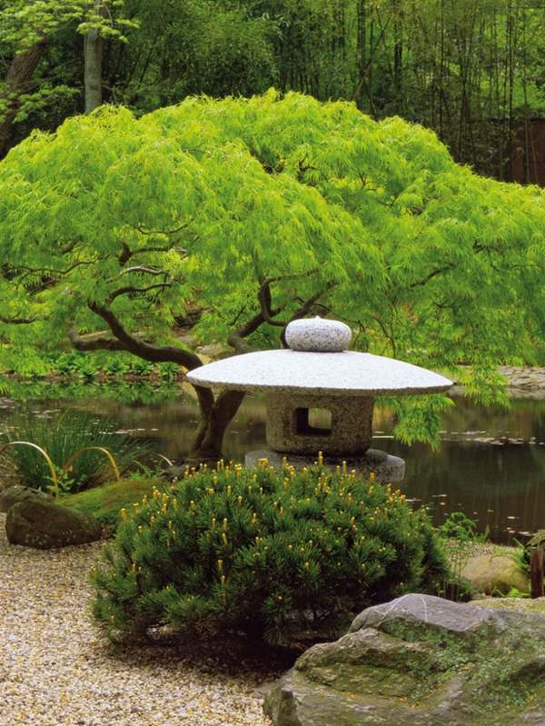 Trädgårdsdesign bonsai i japansk stil