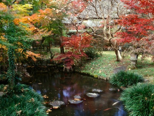 Element japanskt trädgårdsvatten
