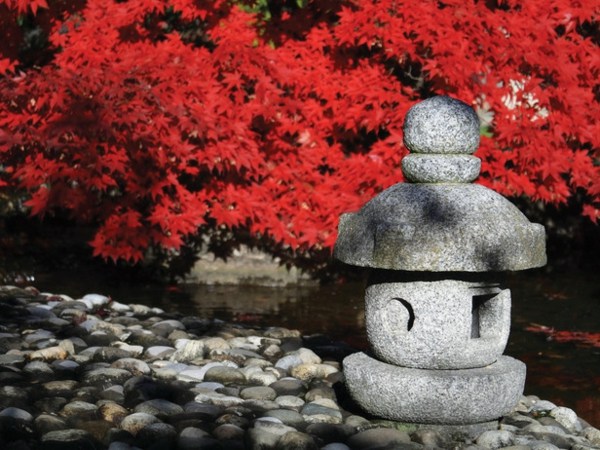 Japansk trädgård för stenläggning