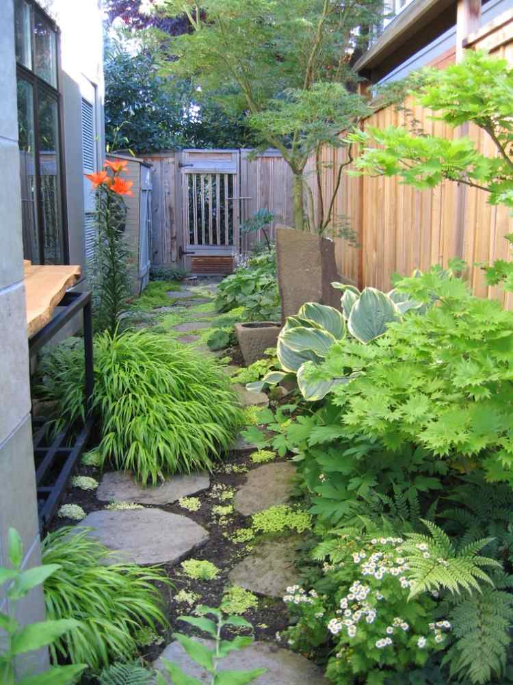 japansk-lönn-trädgård-idéer-japan-dvärg-vass-gräs-funkien
