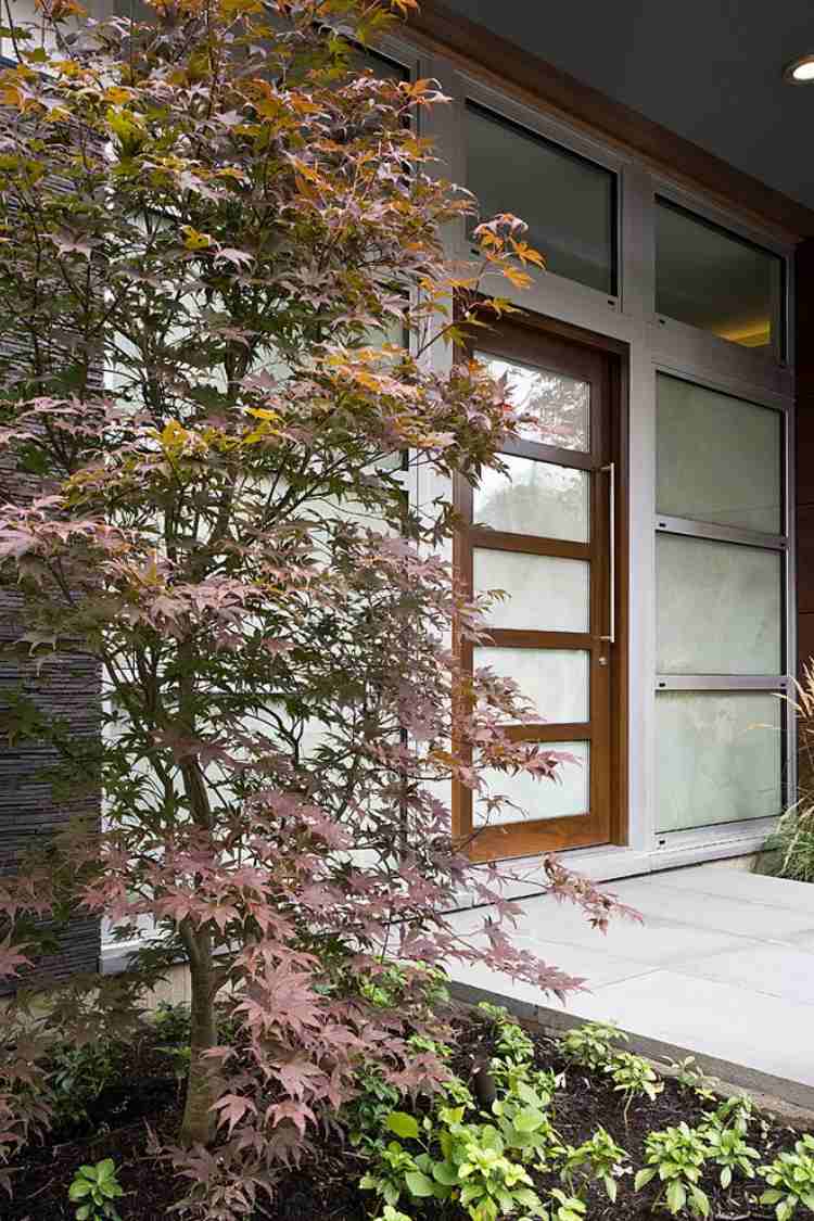 modernt hus-fram-gård-grå-fasad-japansk-lönn-träd
