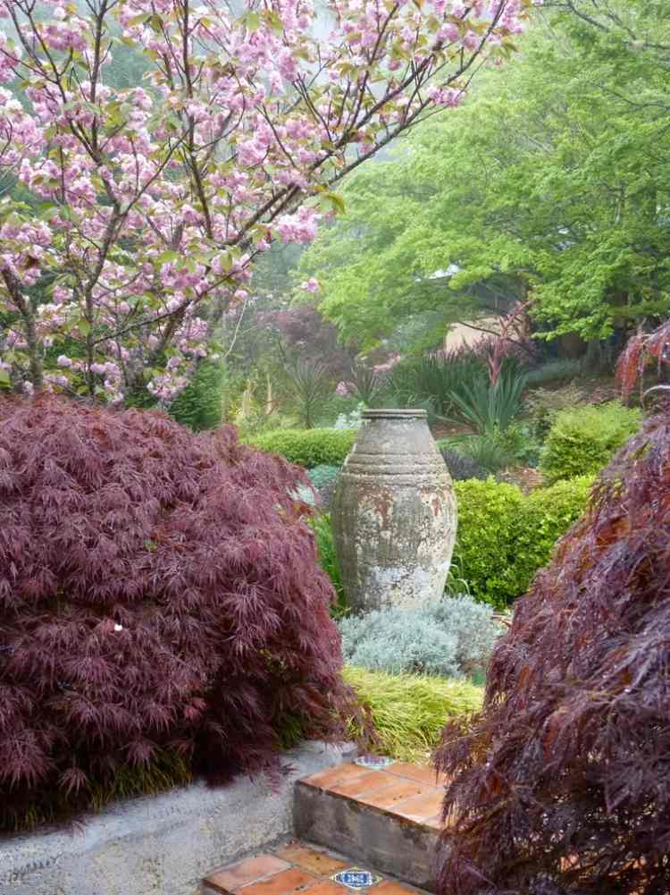 japansk-lönn-buske-snäll-zen-trädgård-prydnadsgräs
