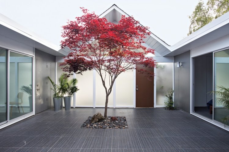modern-hus-innergård-minimalistisk-grå-röd-japansk lönn