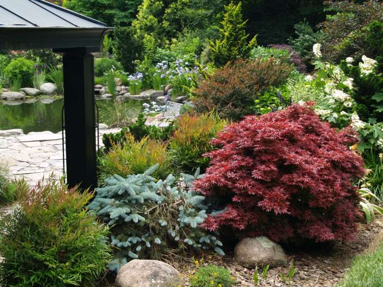 japansk-lönn-trädgård-buske-storlek-buske-idé