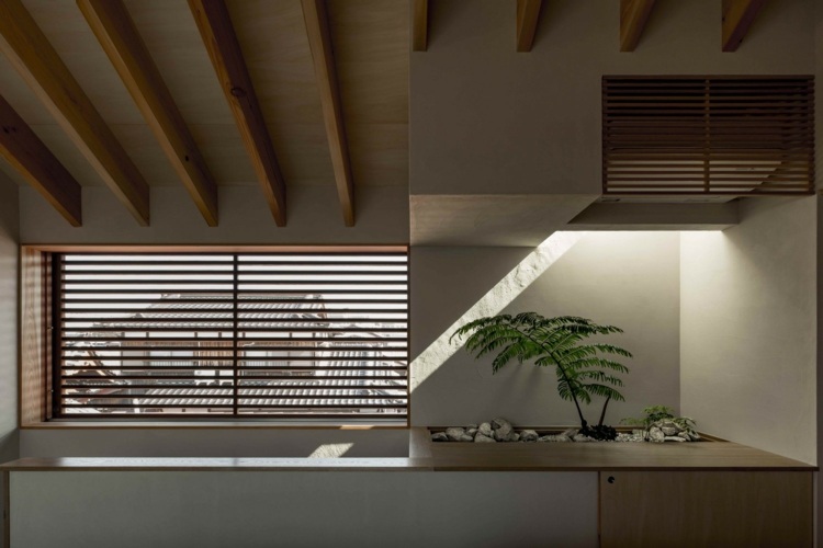 interiör växt blind fönster japanska hus