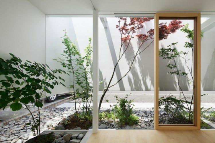 Skapa japanska trädgårdsidéer-gröna växter-inomhus-trädgård-glasvägg-skjutdörrstenar
