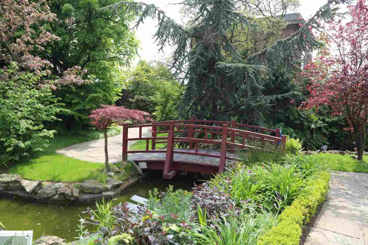 japansk trädgård lägga ut idéer bro trä damm gräsmatta