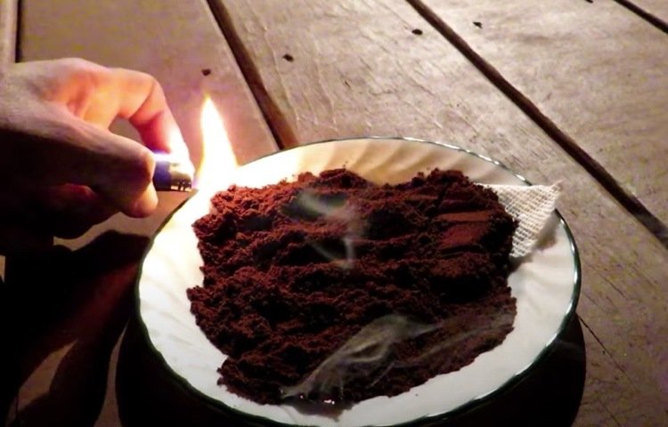 Tänd kaffesump utomhus mot myggor