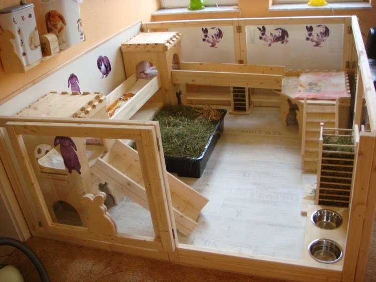 kaninhölje-rum-separat-lägenhet-trä-ramper-lås-kanin rike