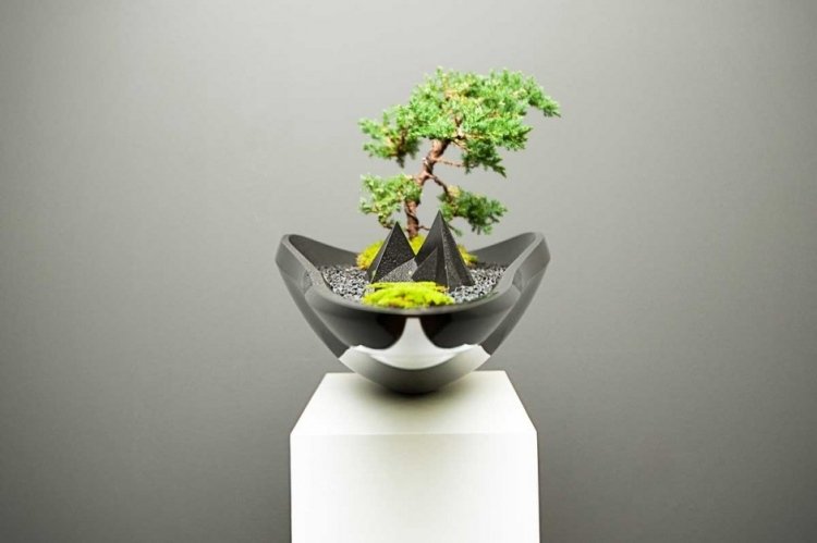 svart bonsai -kruka modern designform
