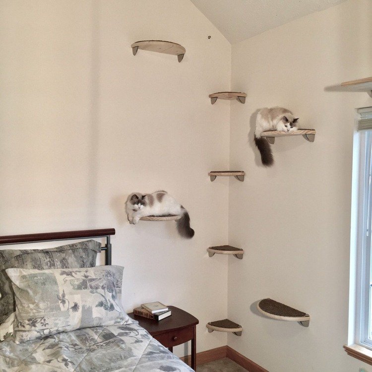 bygg din egen katt klättervägg hyllor sovrum halvcirkelformade
