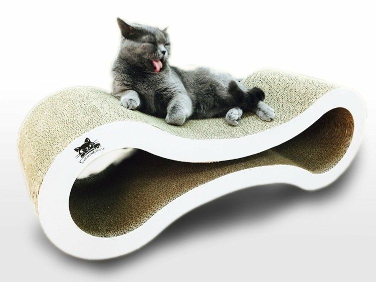katter möbler modern-säng-skrapa-sömn