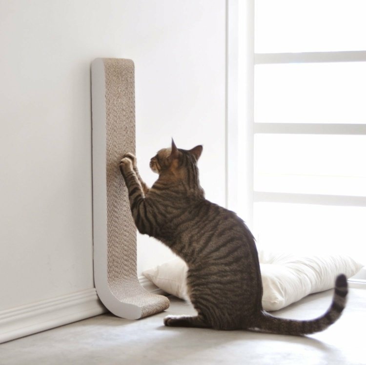 katt-möbler-skrapa-bräda-moderna-vägg-golv