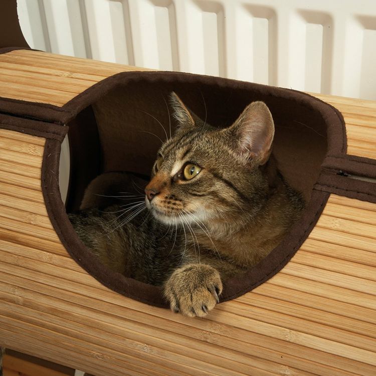 katt-möbler-radiator-säng-bambu-kudde-sov