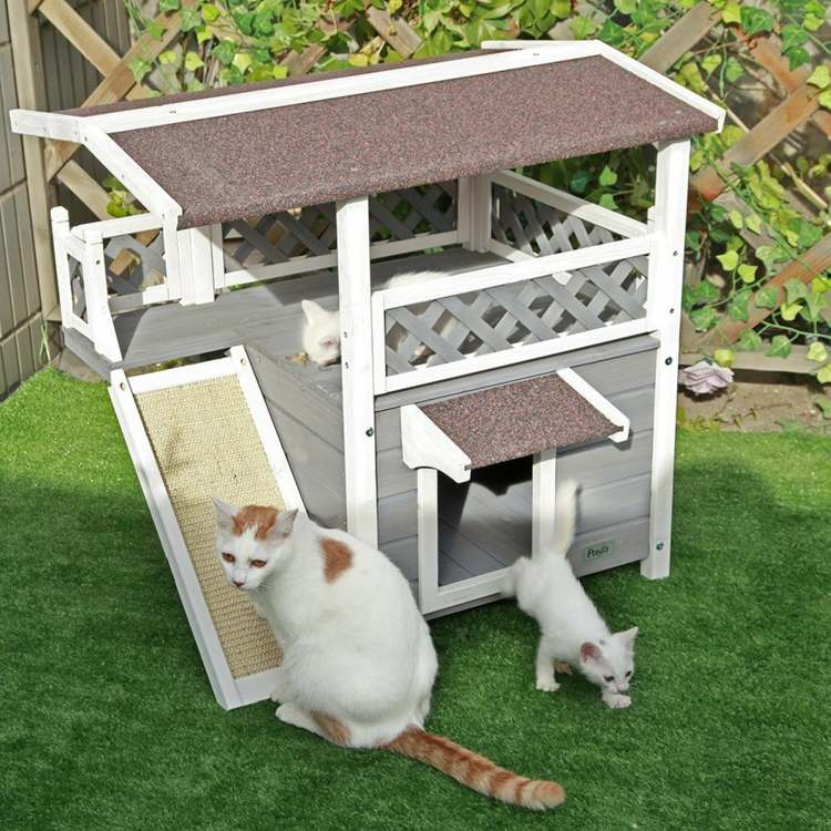 Katt-möbler-trädgård-katt hus-idé-repa-klättring-tak