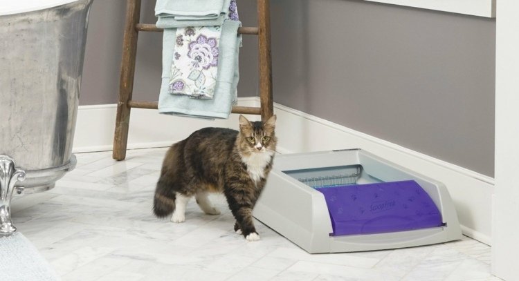 katt-möbler-katt-toalett-självrengörande-idé-praktiskt-rent