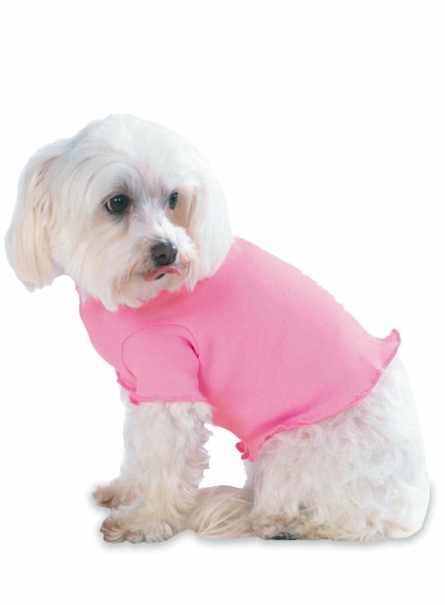 Hundtröja rosa färgpudel vita små hundraser