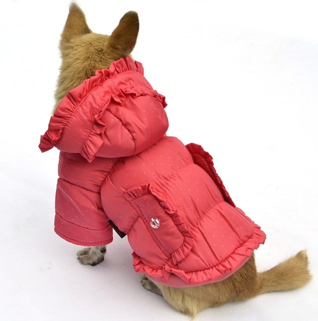 Hundpäls vinter hålla varma Chihuahua väskor röd färg