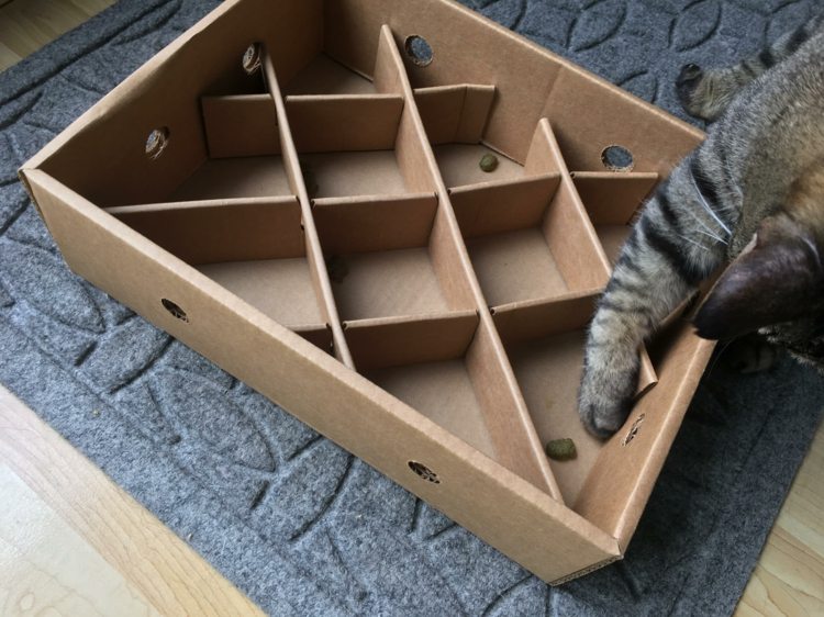 box-bag-cat-tinker