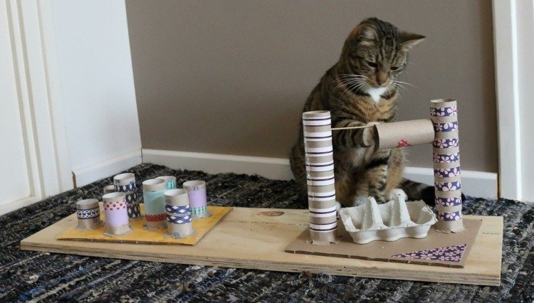 toalettpappersrulle äggkartong fummel board cat