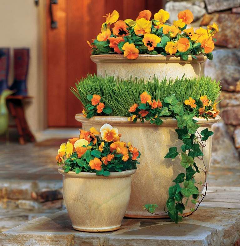 Designa ett badkar trädgård idéer violer orange prydnadsgräs våren uteplats natursten