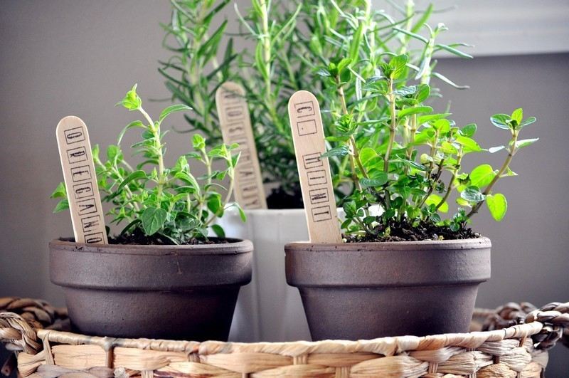 Kök med örtträdgård DIY-idéer-lerkruka-örtmarkörer-glasspinnar