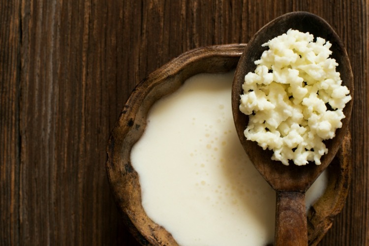 Gör kefir själv-odlar-svamp-jäser råmjölk