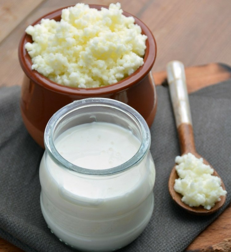 kefir-gör-det-själv-kefir-svamp-bakterier-kefir-mjölk-tips
