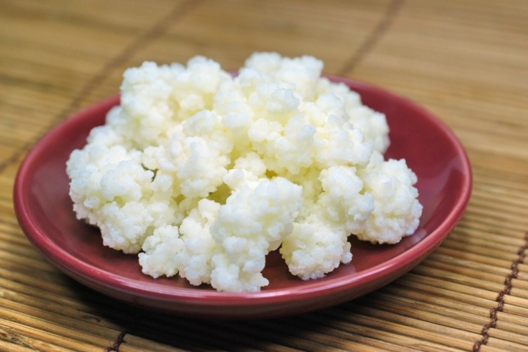 kefir-gör-själv-mjölk-drick-förbereder-diy-helt enkelt-hemlagad