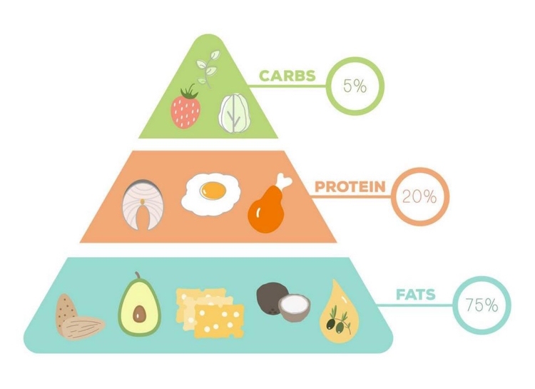 Ketogen dietfettprotein Kolhydrater Pyramid
