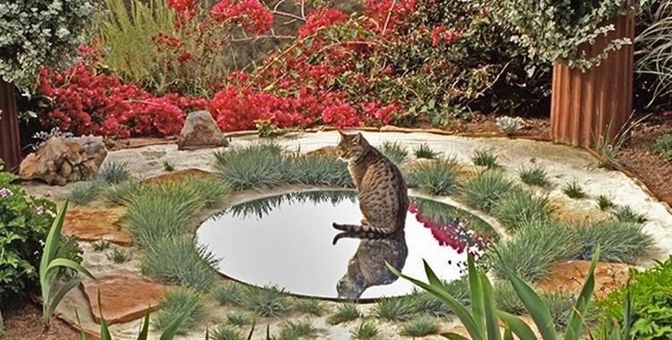 Idéer om grusträdgård med gräs - en rund spegel skapar illusionen av vatten