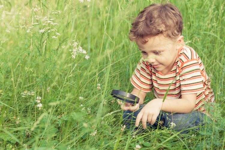 lyckligt barn utforskar gräs med förstoringsglas