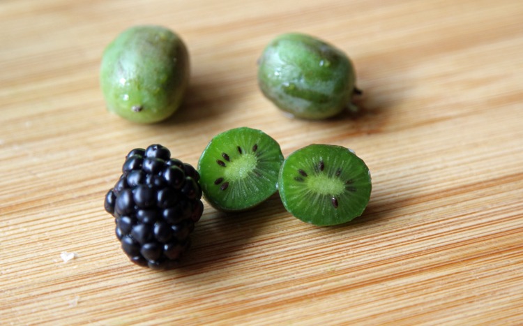 kiwi bär superfood mini kiwi bär frukt