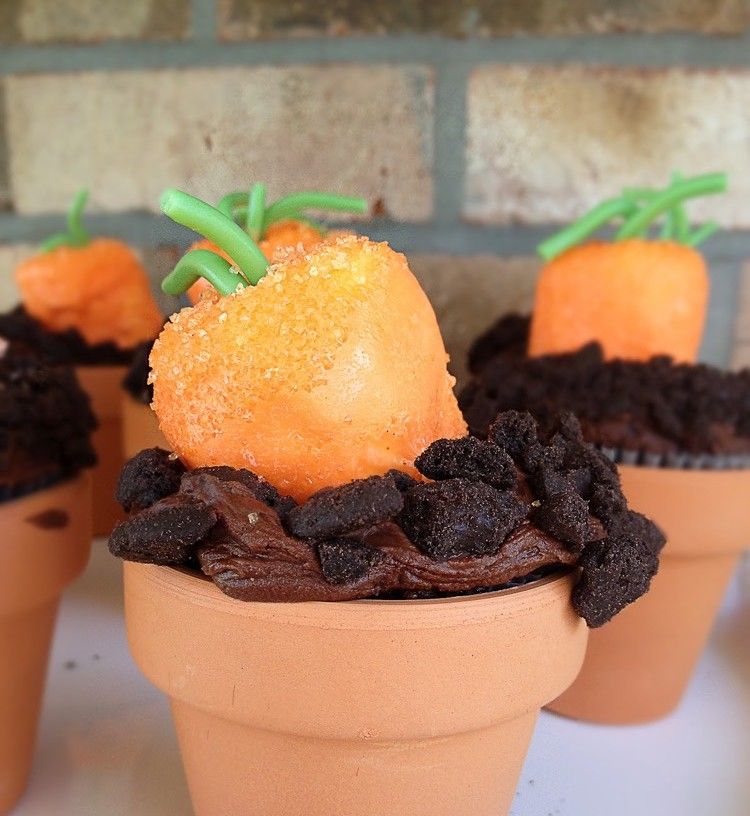 liten påsk-överraskning-gör-själv-brownies-lerkrukor-morötter