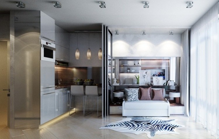liten-lägenhet-inredning-30sqm-ett-rum-lägenhet-partition-kök-soffa-vit