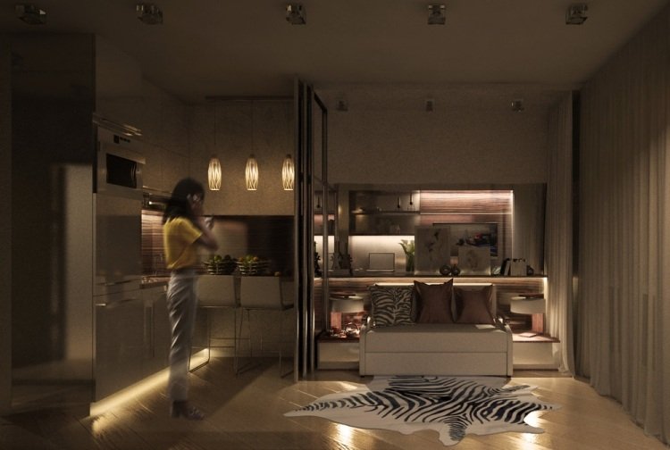 liten-lägenhet-inredning-30sqm-indirekt-belysning-zebra-matta-soffa-kök