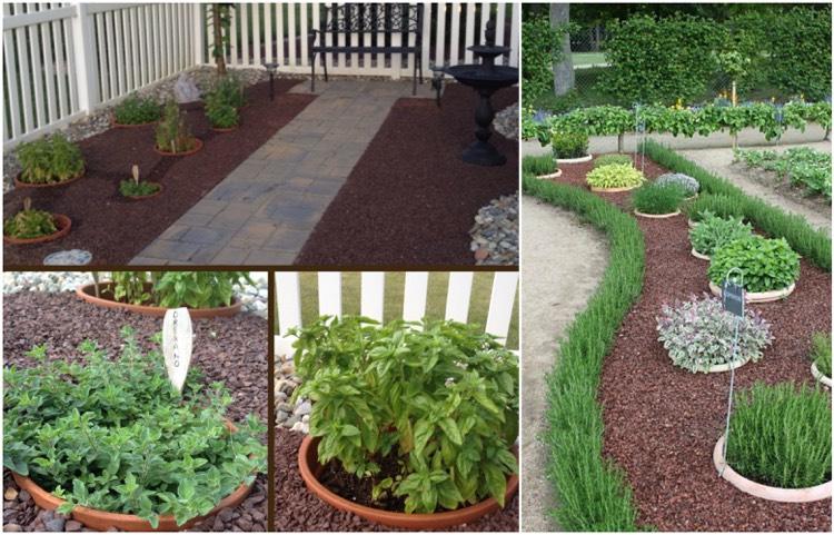 trädgård-design-lite-pengar-mulch-grus-hink-örter
