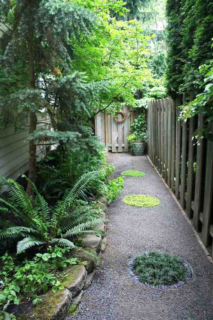 Grus-grus-stigar-i-trädgården-skapa-sekretess-skydd-häck-växter-ormbunke