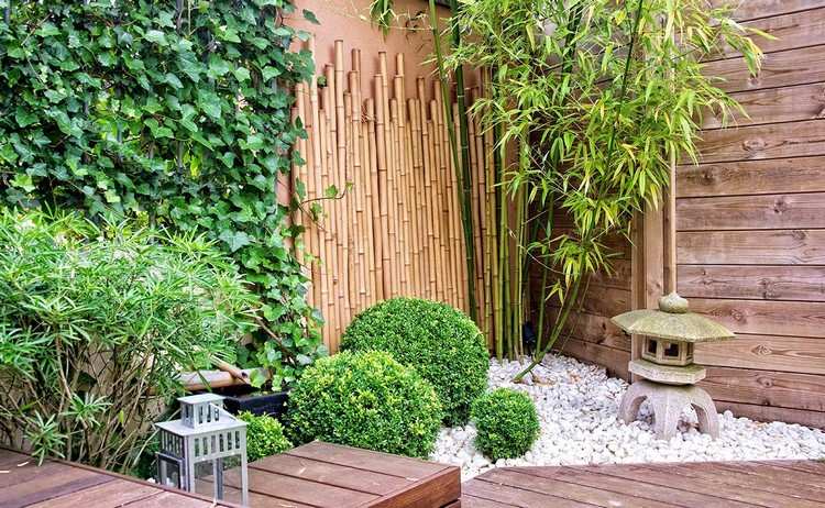 bambu buxbomhäckar som planterar liten japansk trädgård
