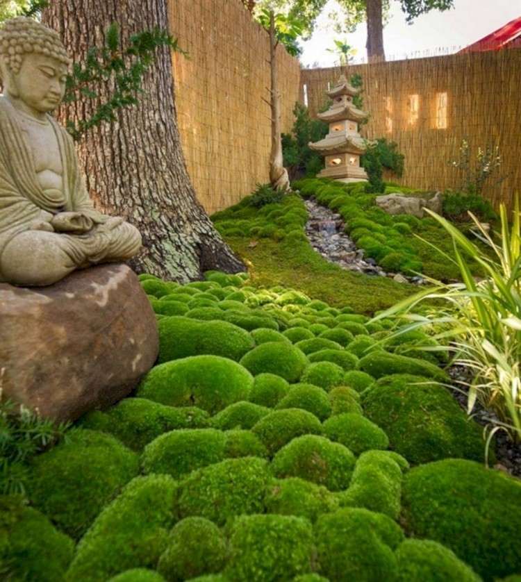 liten japansk trädgård skapa bakgård mossa bambu staket