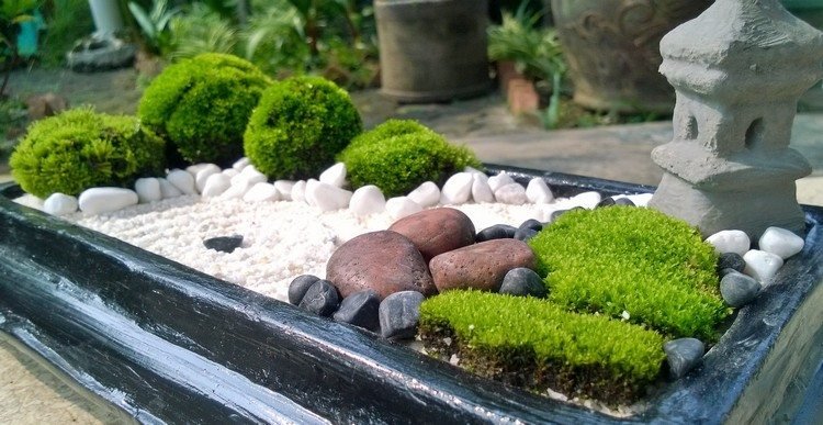 gör mini zen trädgård japansk stil själv