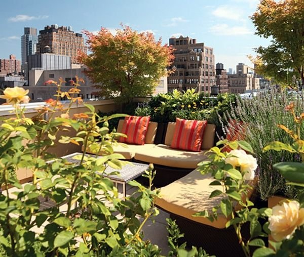 Tak trädgård lounge urban landskap planering design