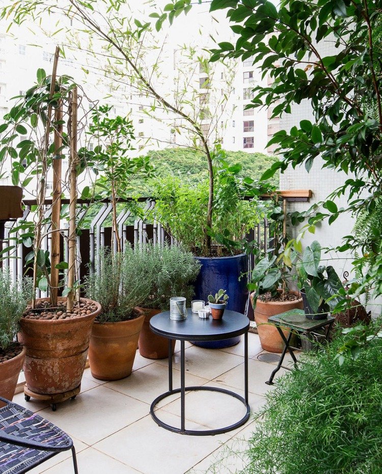 Hur kan jag försköna min balkong med växter?