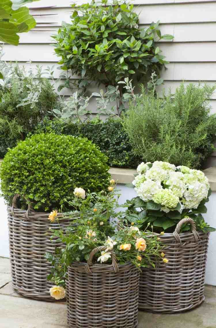 liten trädgård-design-shabby-look-korgar-rosor-hortensior-boxwood-boll