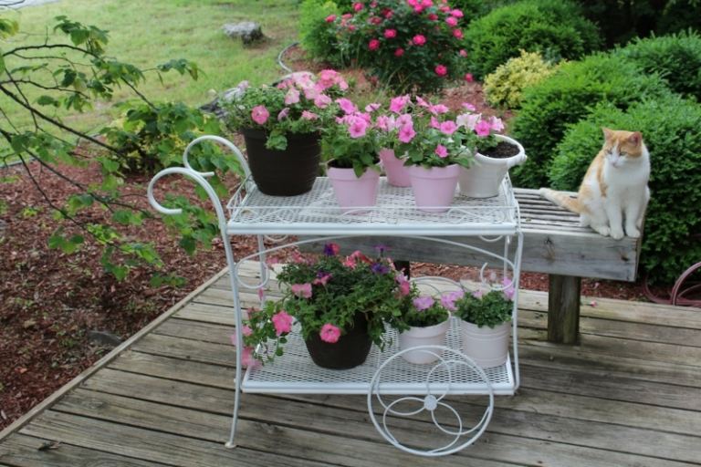 liten trädgård blommor bordsdekoration romantisk metall sidobord vit vintage
