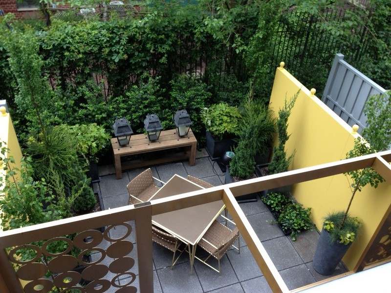 Liten trädgård betongvägg klätterväxt lykta