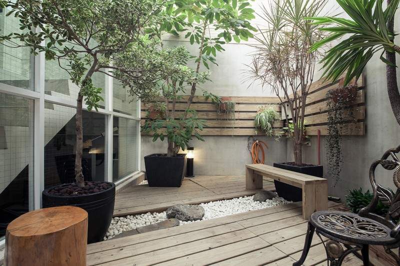 Liten trädgård Feng Shui krukväxt